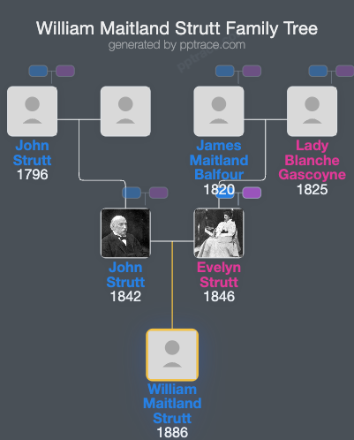 William Maitland Strutt family tree overview