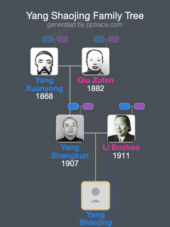 Yang Shaojing family tree overview