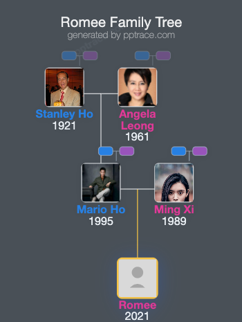 Romee family tree overview