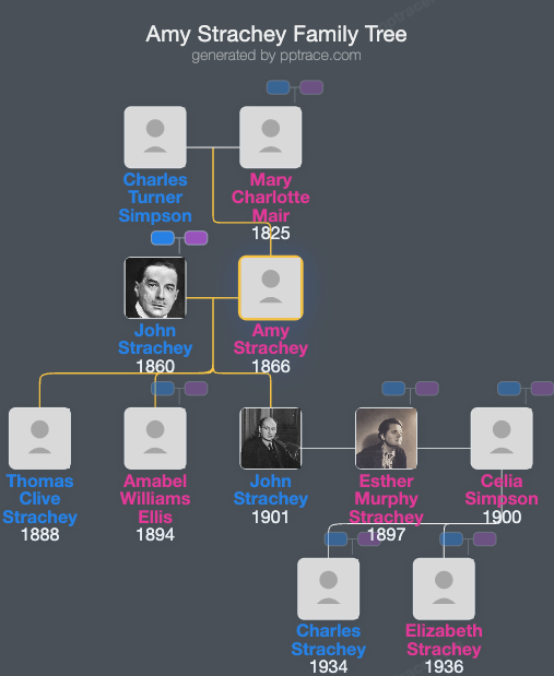 Amy Strachey family tree overview