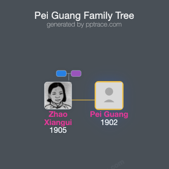 Pei Guang family tree overview