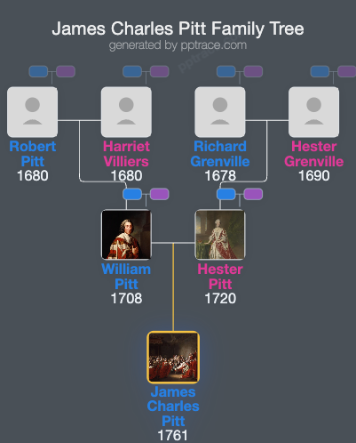 James Charles Pitt family tree overview
