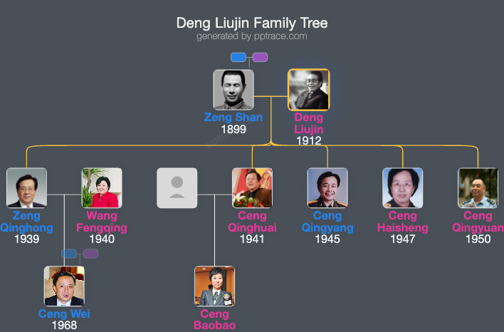 Deng Liujin family tree overview