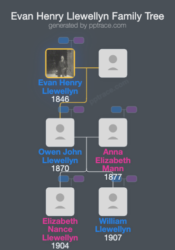Evan Henry Llewellyn family tree overview