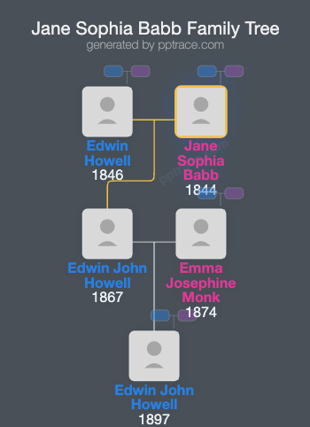 Jane Sophia Babb family tree overview