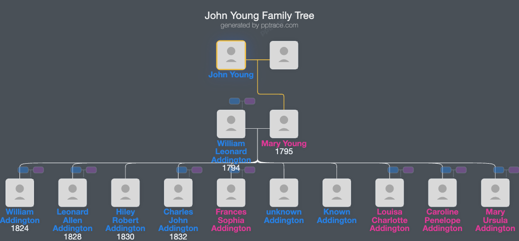 John Young family tree overview