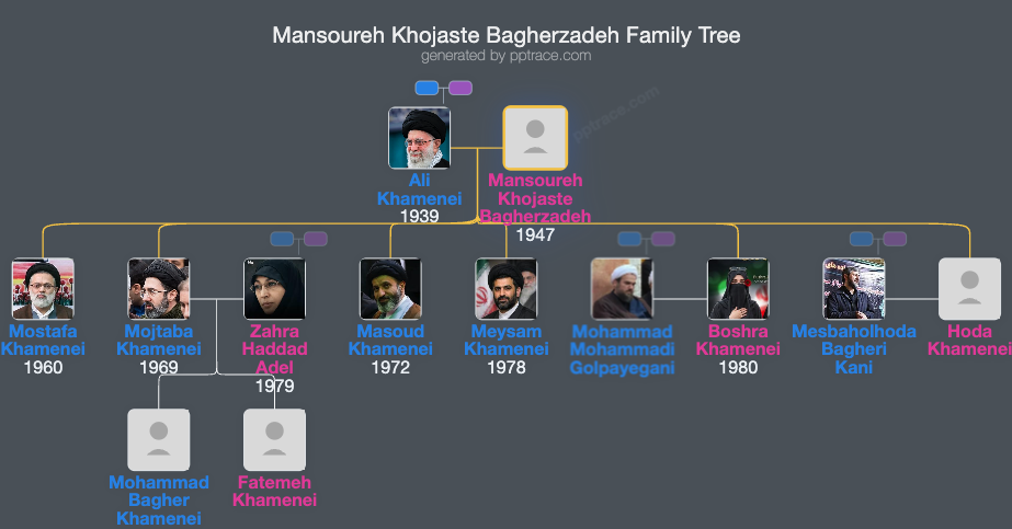 Mansoureh Khojaste Bagherzadeh family tree overview