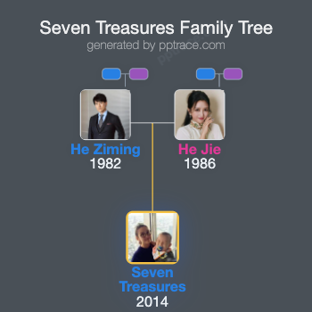 Seven Treasures family tree overview