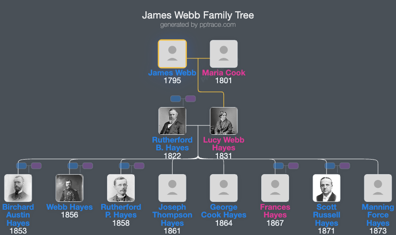 James Webb family tree overview