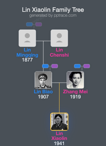 Lin Xiaolin family tree overview