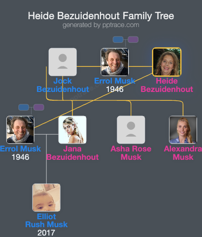 Heide Bezuidenhout family tree overview