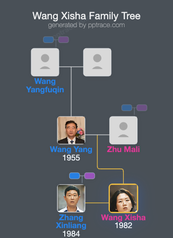 Wang Xisha family tree overview