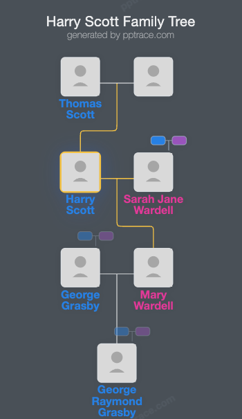 Harry Scott family tree overview