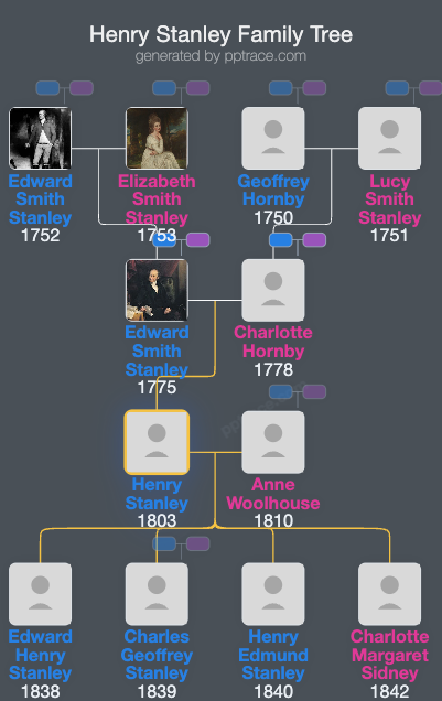 Henry Stanley family tree overview