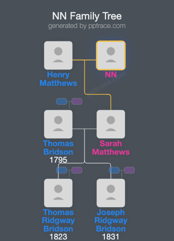 NN family tree overview