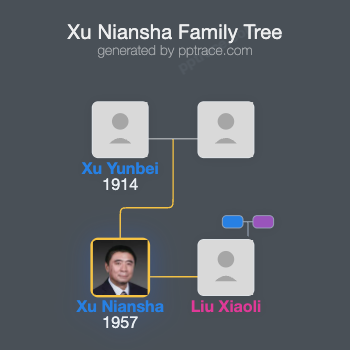 Xu Niansha family tree overview