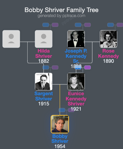 Bobby Shriver family tree overview