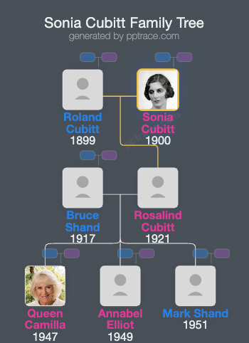 Sonia Cubitt, Baroness Ashcombe family tree overview