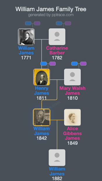 William James family tree overview
