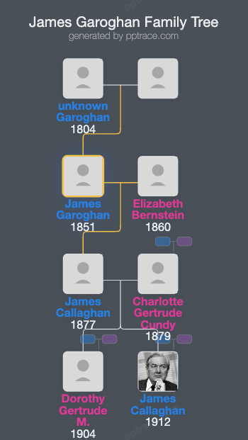 James Garoghan family tree overview