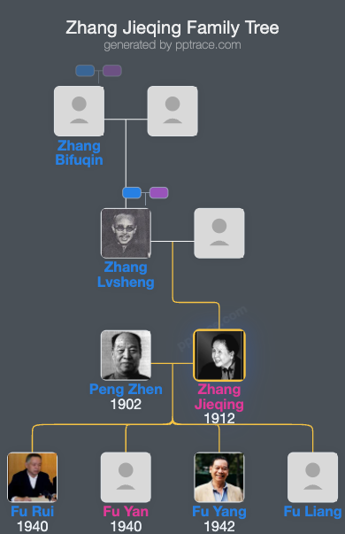 Zhang Jieqing family tree overview
