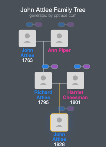 John Attlee family tree overview