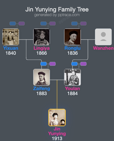 Jin Yunying family tree overview