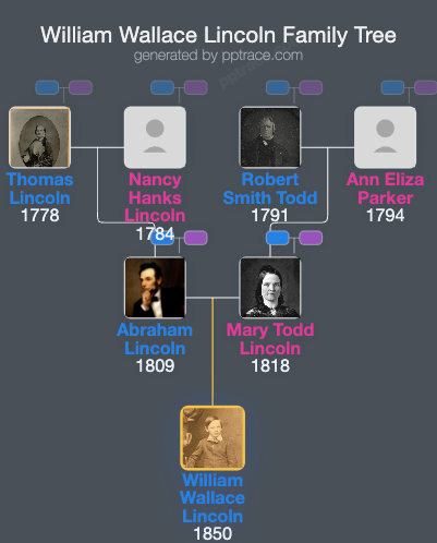 William Wallace Lincoln family tree overview