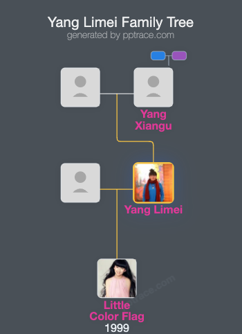 Yang Limei family tree overview