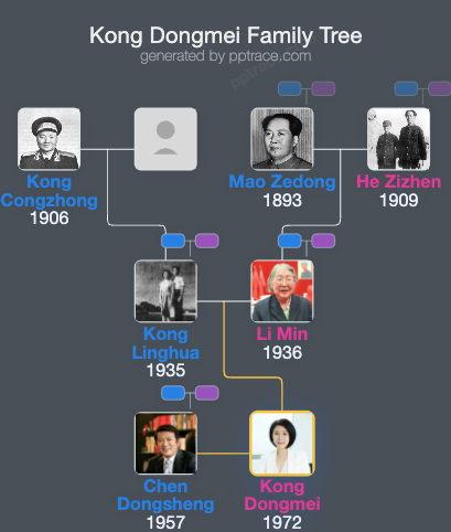 Kong Dongmei family tree overview