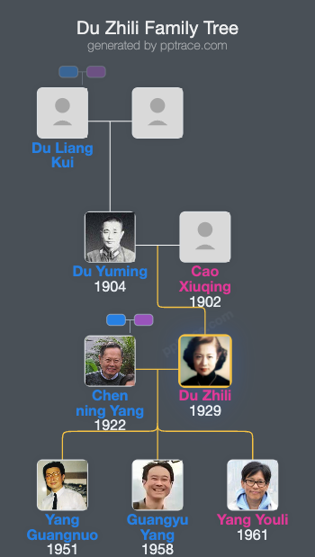 Du Zhili family tree overview