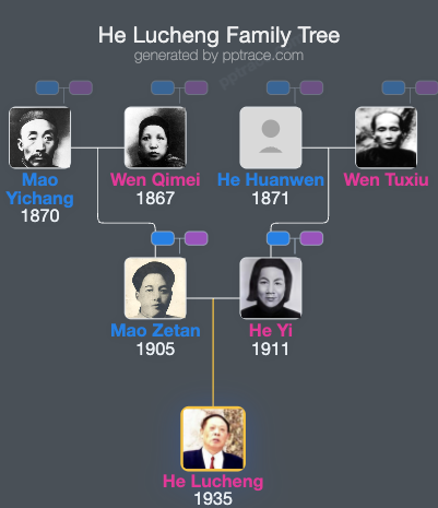 He Lucheng family tree overview