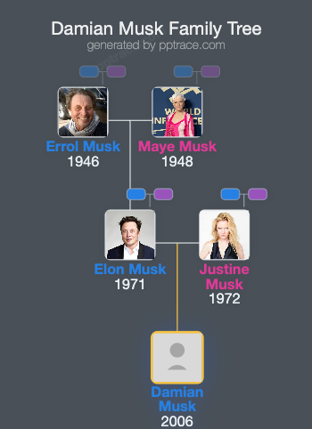 Damian Musk family tree overview