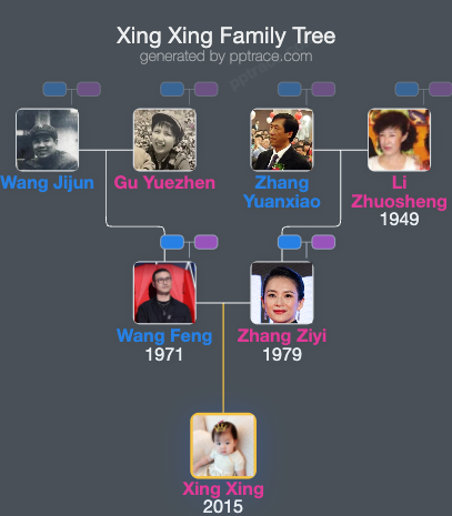 Xing Xing family tree overview