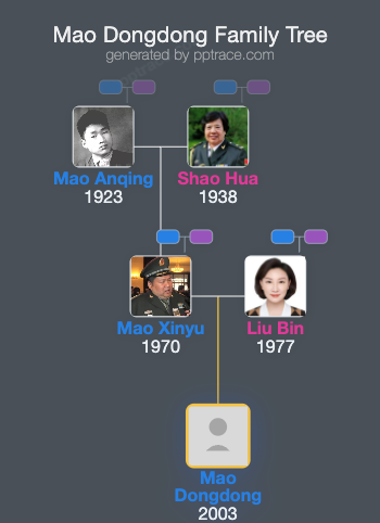 Mao Dongdong family tree overview