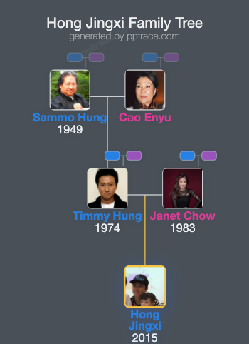 Hong Jingxi family tree overview