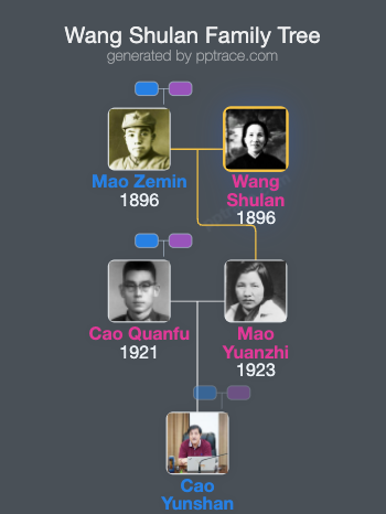 Wang Shulan family tree overview