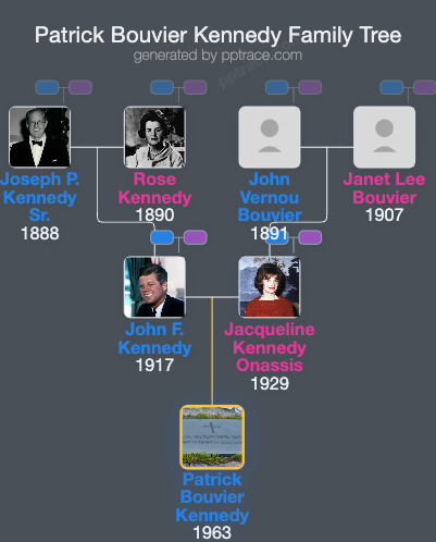 Patrick Bouvier Kennedy family tree overview