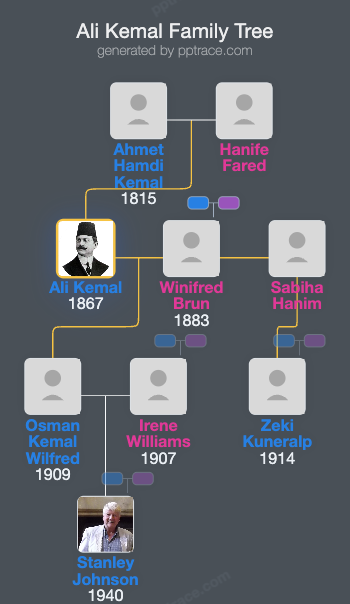 Ali Kemal family tree overview
