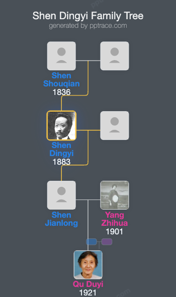 Shen Dingyi family tree overview
