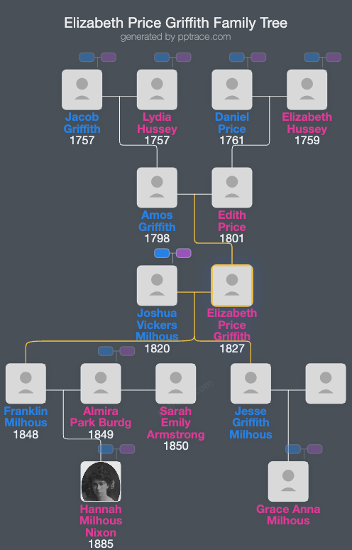 Elizabeth Price Griffith family tree overview