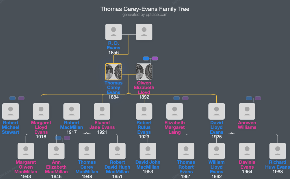 Thomas Carey-Evans family tree overview