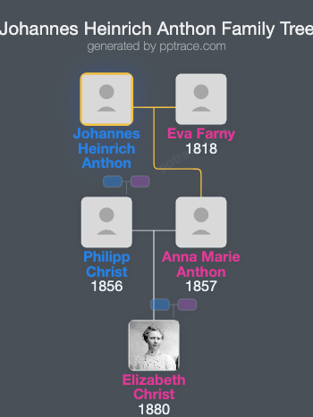 Johannes Heinrich Anthon family tree overview