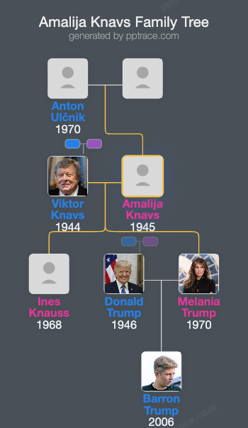Amalija Knavs family tree overview