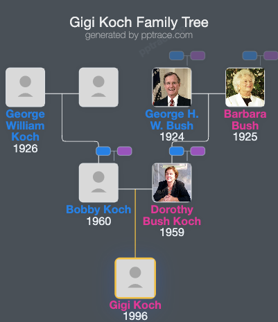 Gigi Koch family tree overview
