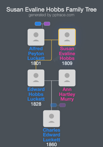 Susan Evaline Hobbs family tree overview