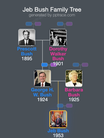 Jeb Bush family tree overview