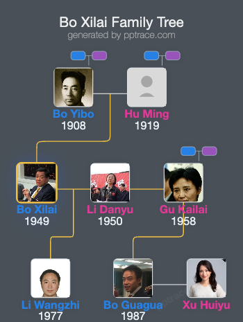 Bo Xilai family tree overview