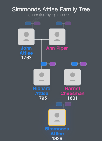 Simmonds Attlee family tree overview