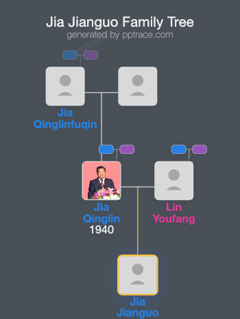 Jia Jianguo family tree overview